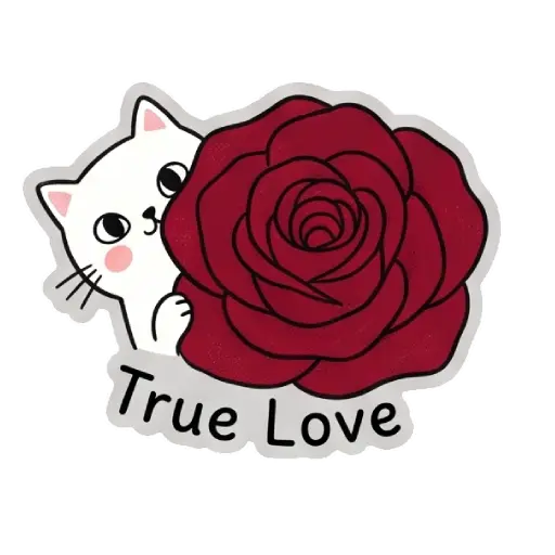 cat, cat lover, romantic, love, cute, WhatsApp stickers, stickers, love message (15)